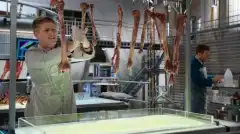 Кости 9 сезон 8 серия